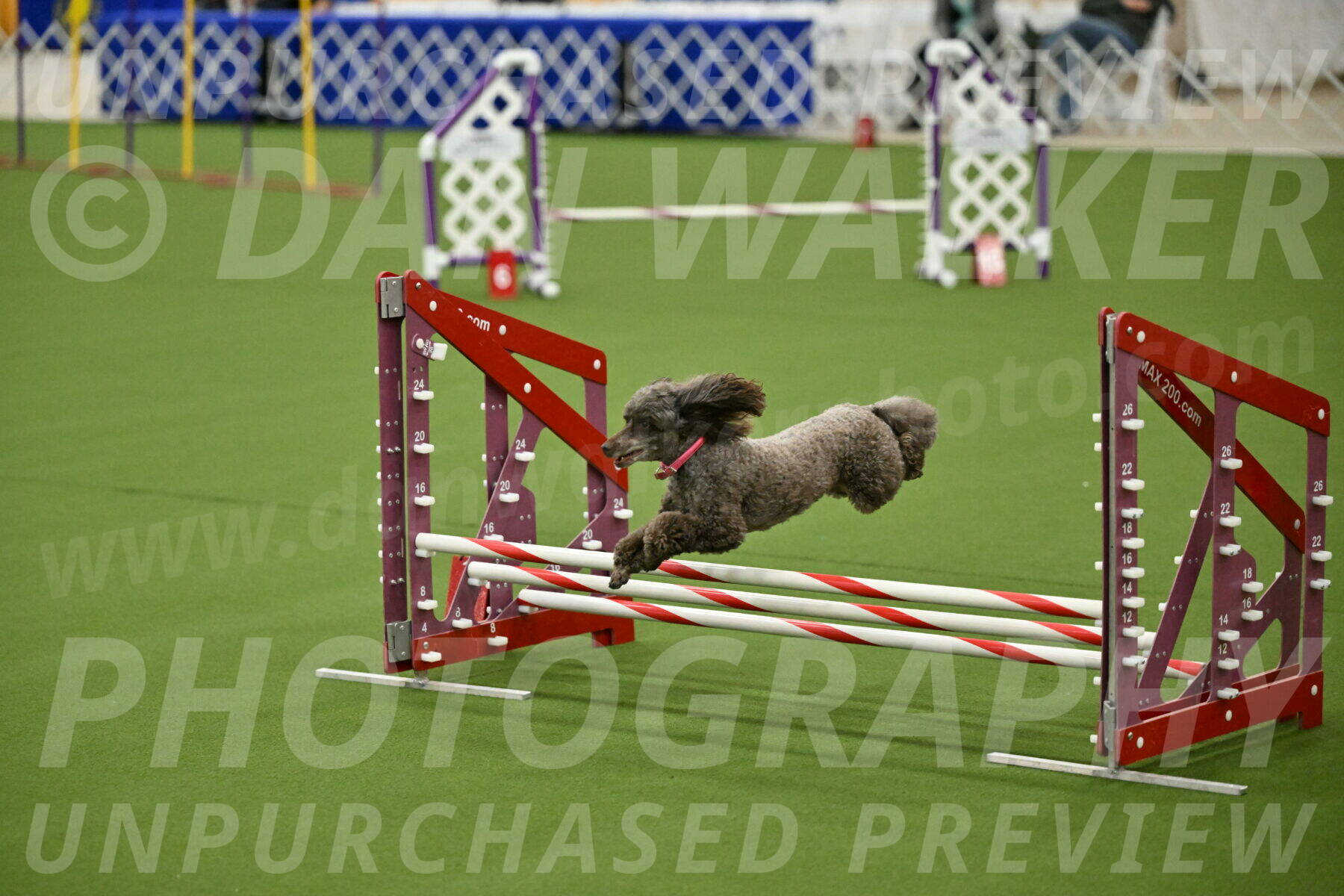 MAS-EX-JWW-12-Inch_1081