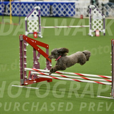 MAS-EX-JWW-12-Inch_1081