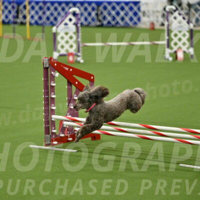 MAS-EX-JWW-12-Inch_1082