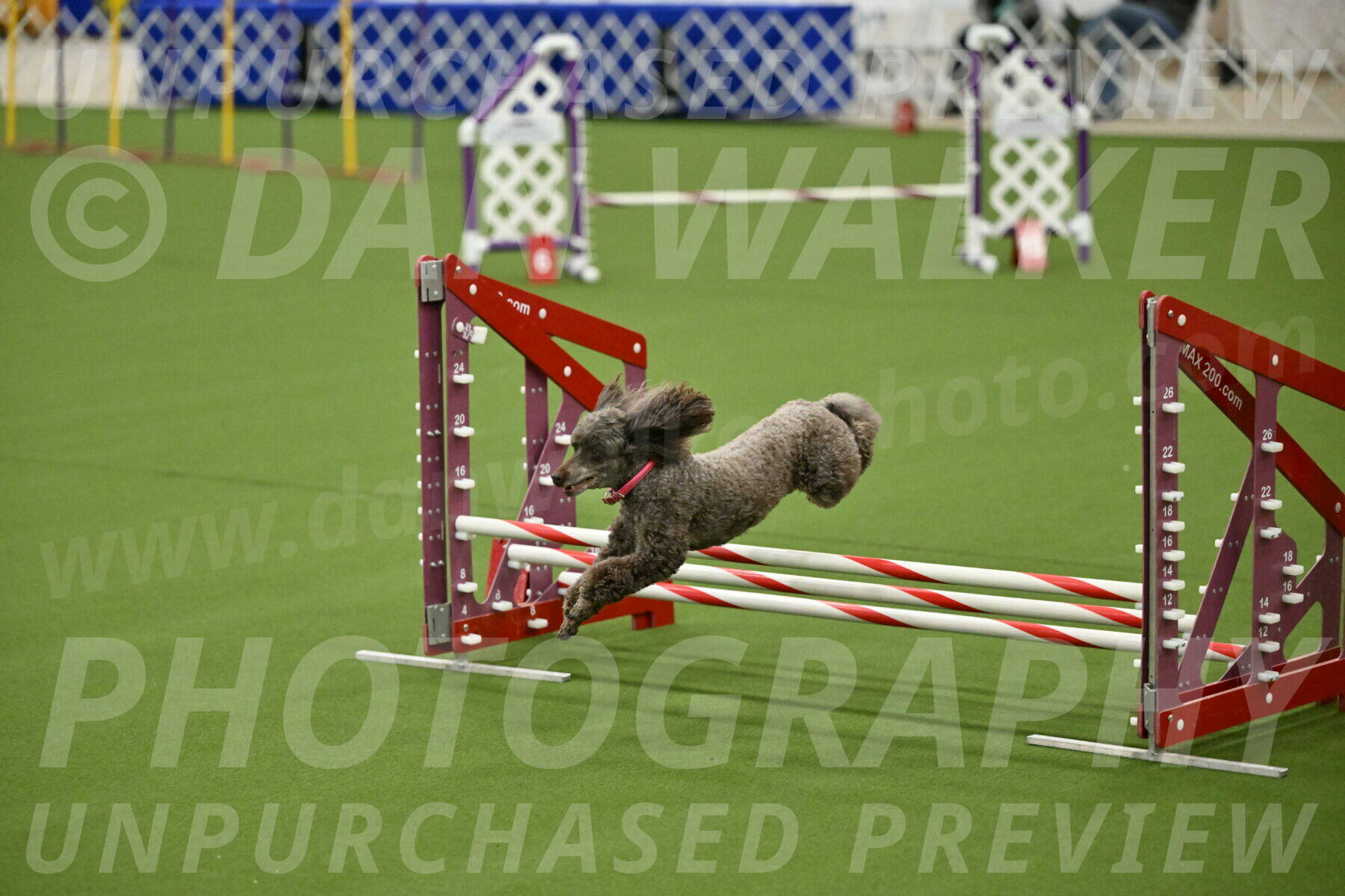 MAS-EX-JWW-12-Inch_1082