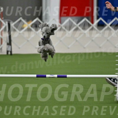 MAS-EX-JWW-12-Inch_1083