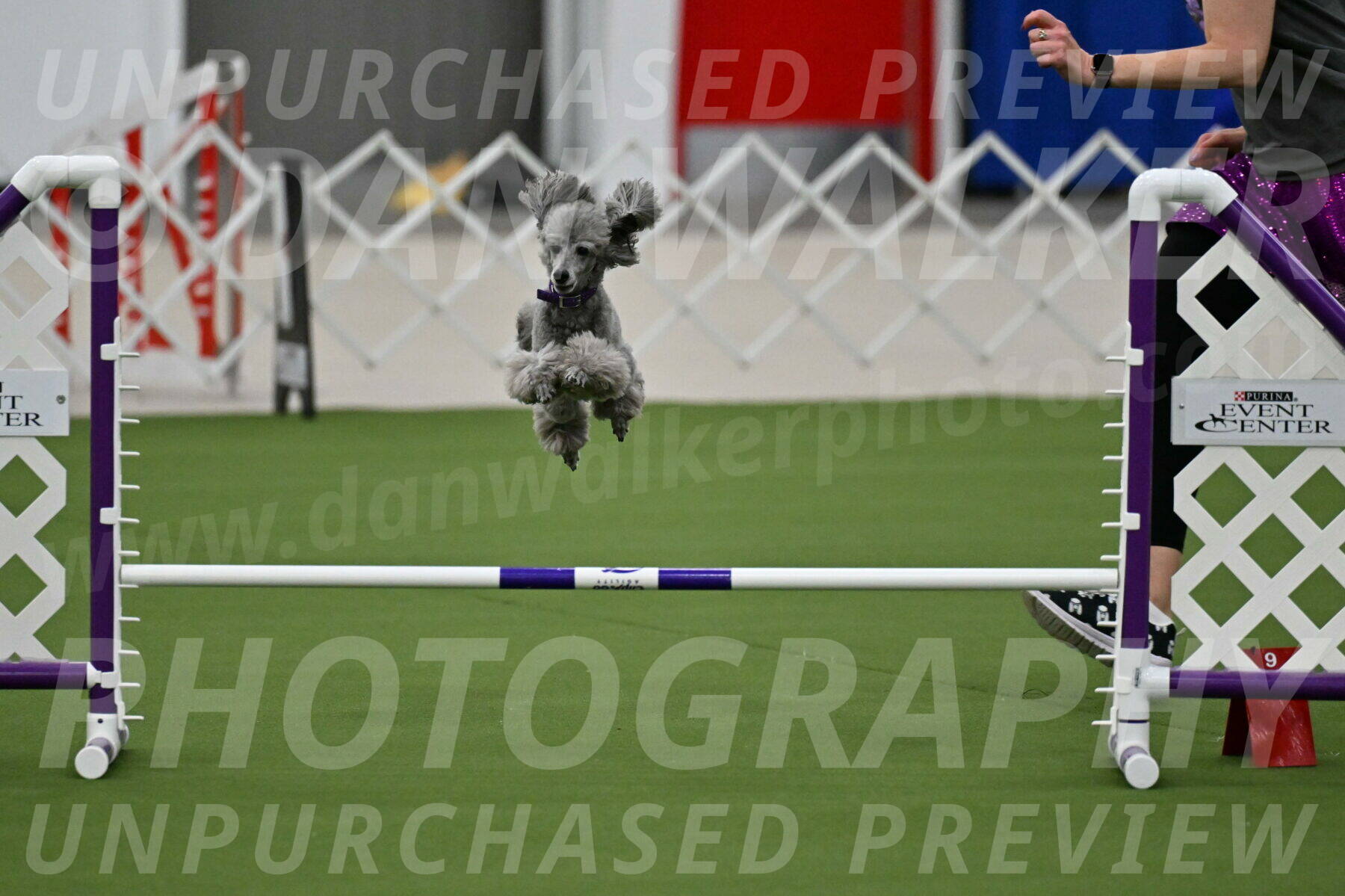 MAS-EX-JWW-12-Inch_1083