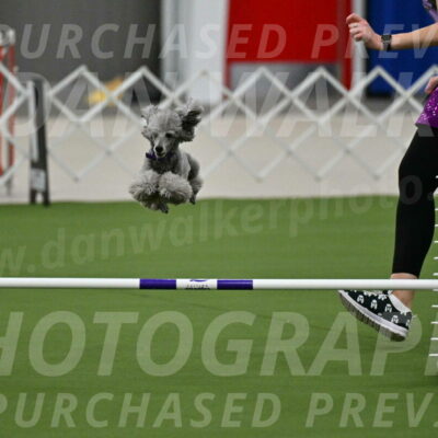 MAS-EX-JWW-12-Inch_1084