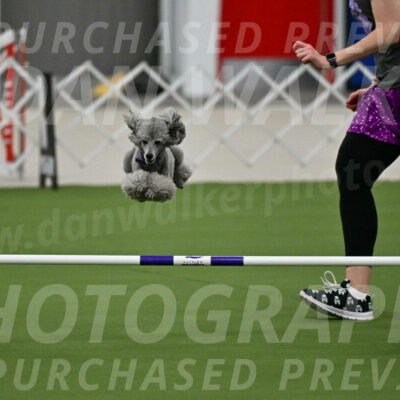 MAS-EX-JWW-12-Inch_1085