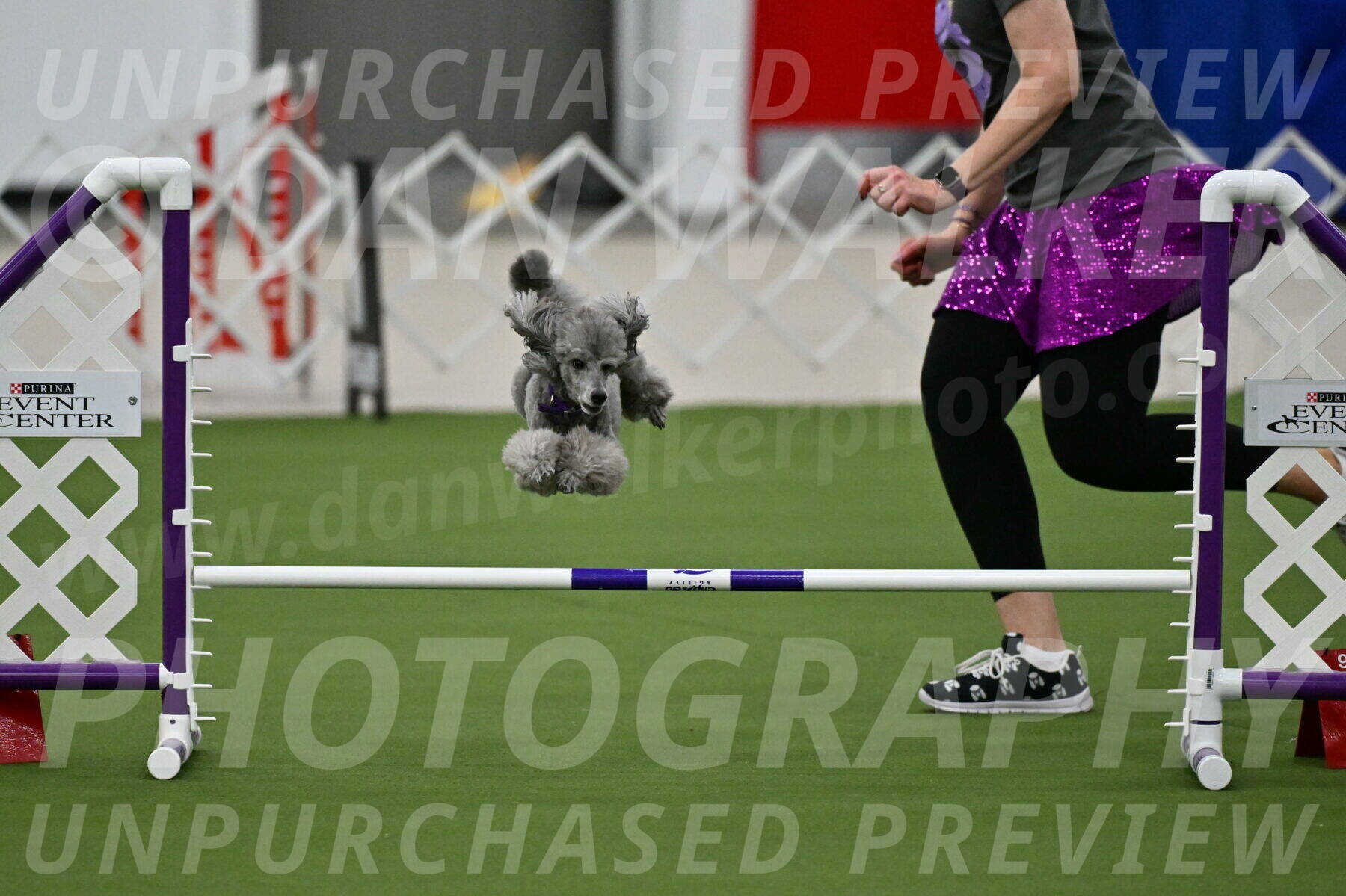 MAS-EX-JWW-12-Inch_1086