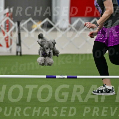 MAS-EX-JWW-12-Inch_1086