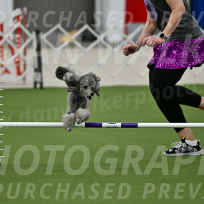 MAS-EX-JWW-12-Inch_1087