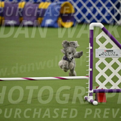 MAS-EX-JWW-12-Inch_1090