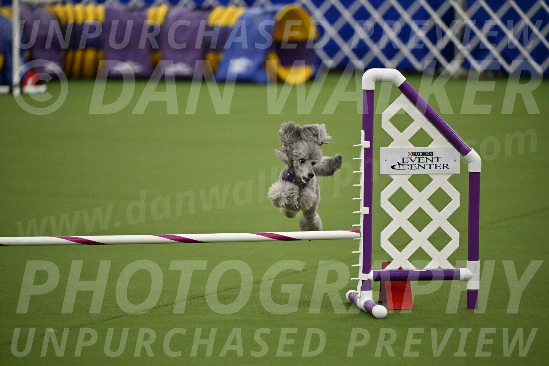 MAS-EX-JWW-12-Inch_1090