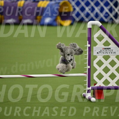 MAS-EX-JWW-12-Inch_1091