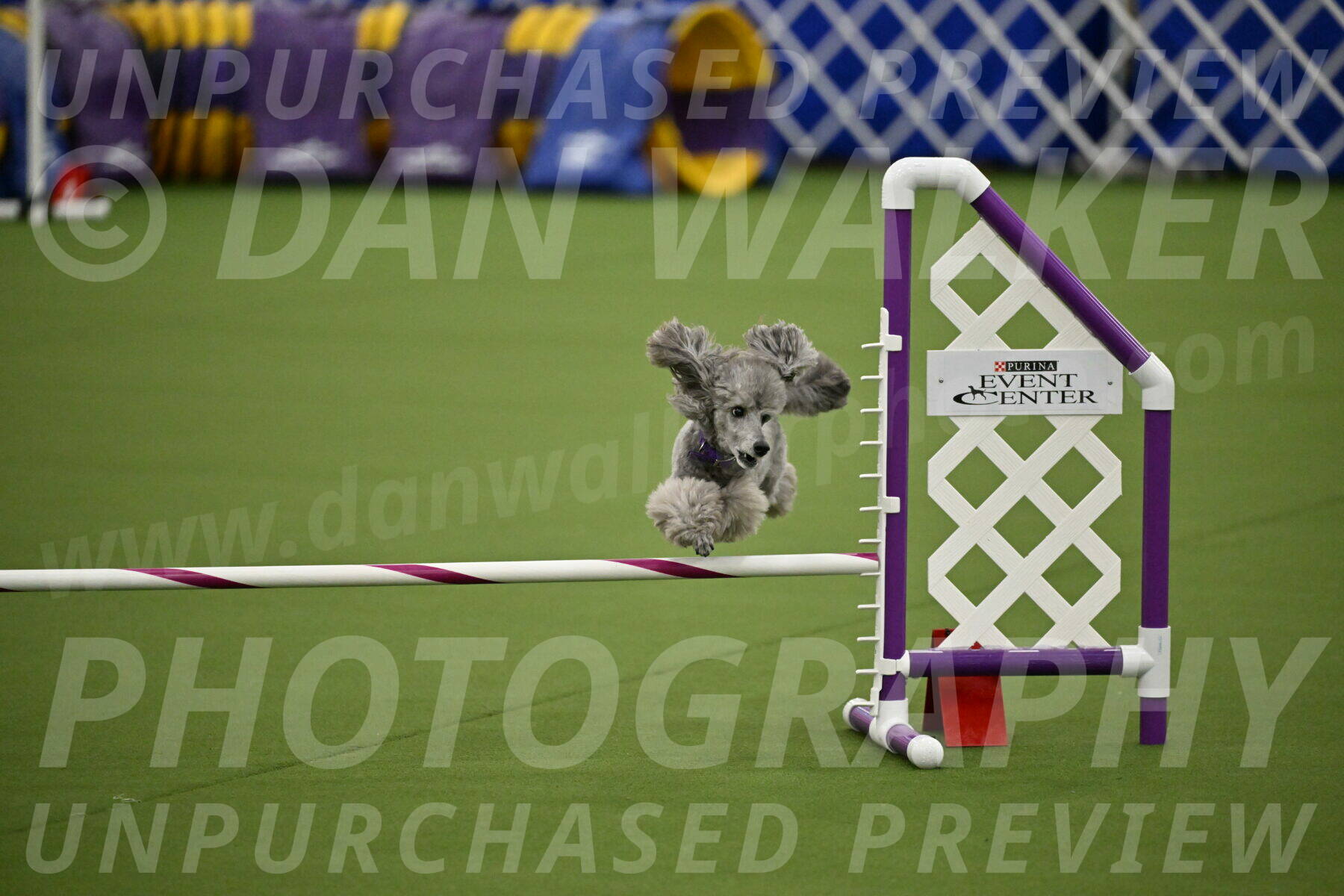 MAS-EX-JWW-12-Inch_1091