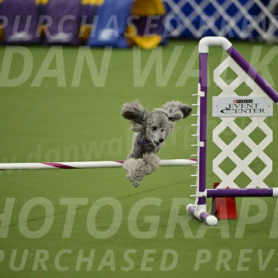 MAS-EX-JWW-12-Inch_1092