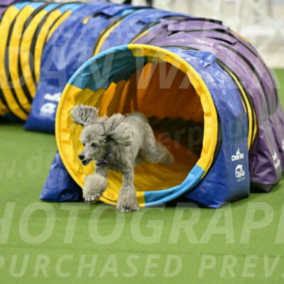 MAS-EX-JWW-12-Inch_1094