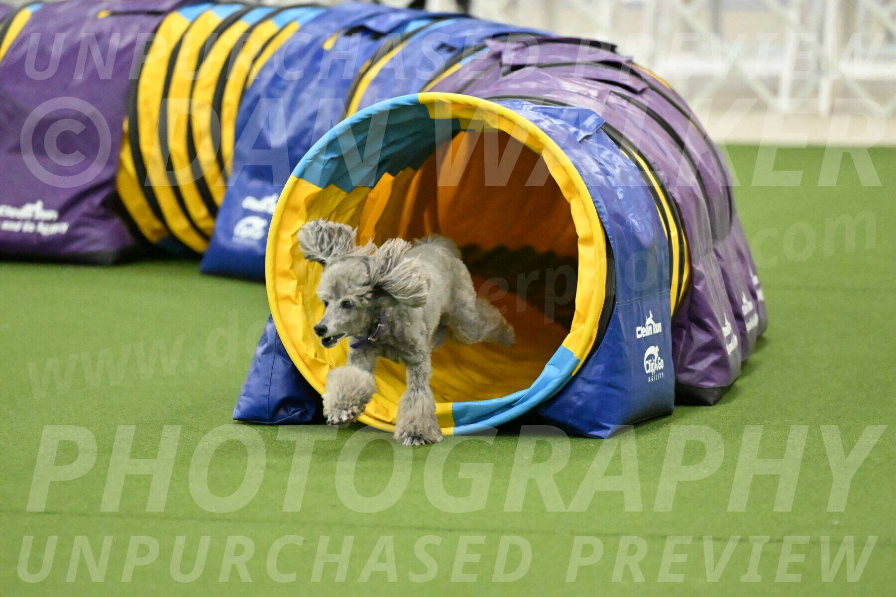 MAS-EX-JWW-12-Inch_1094