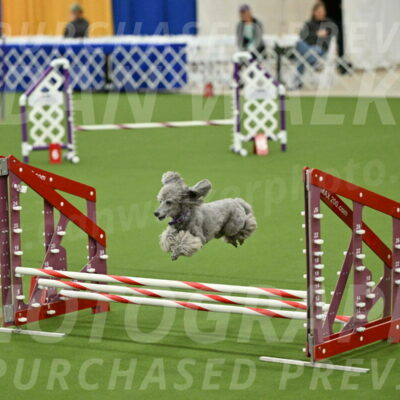 MAS-EX-JWW-12-Inch_1105