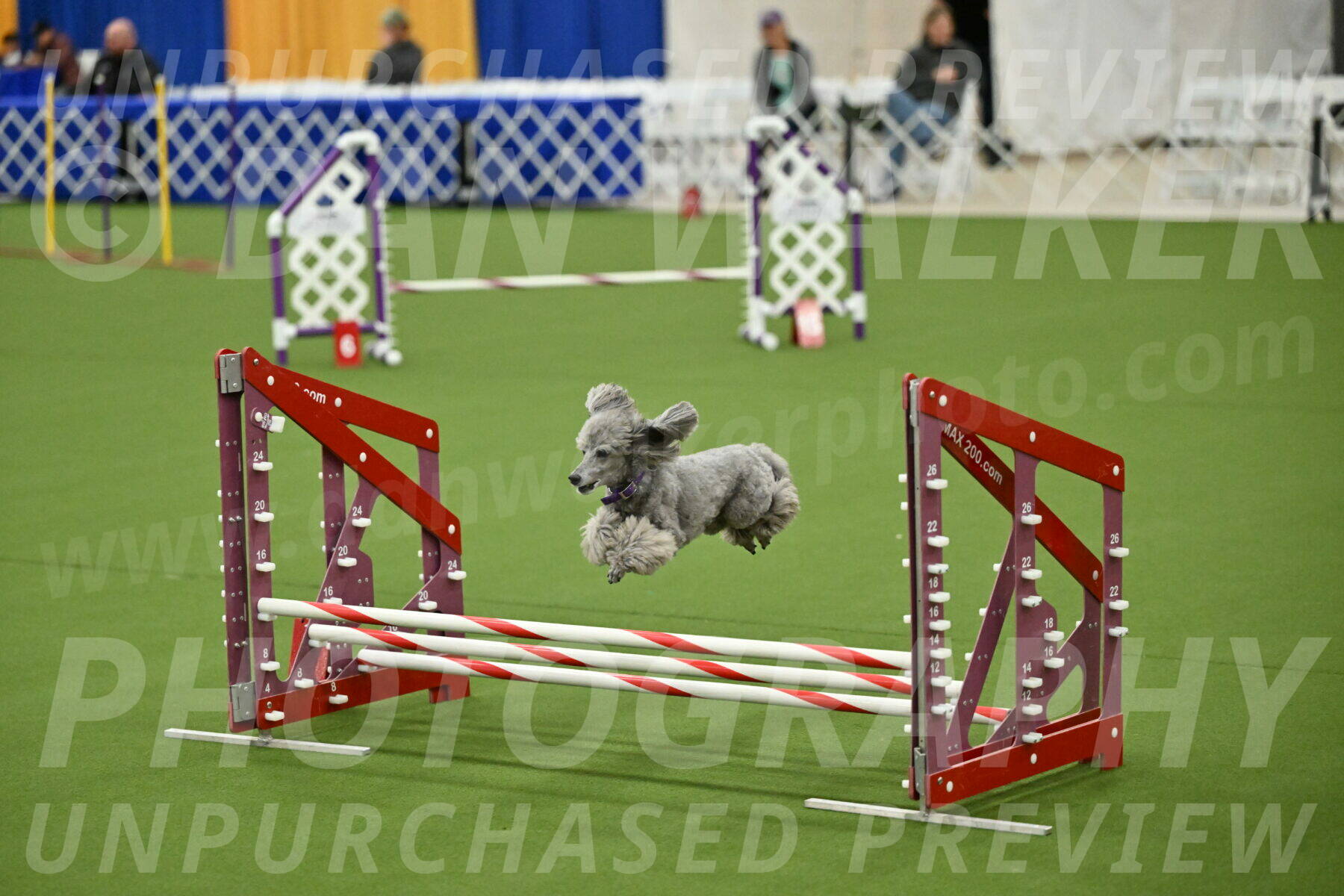 MAS-EX-JWW-12-Inch_1105