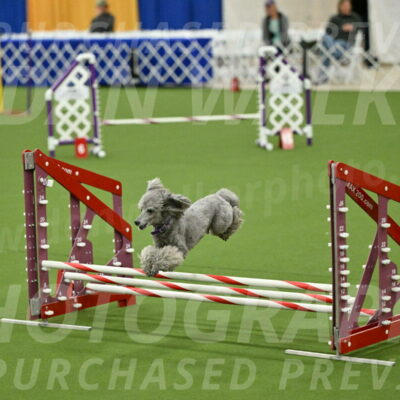 MAS-EX-JWW-12-Inch_1106