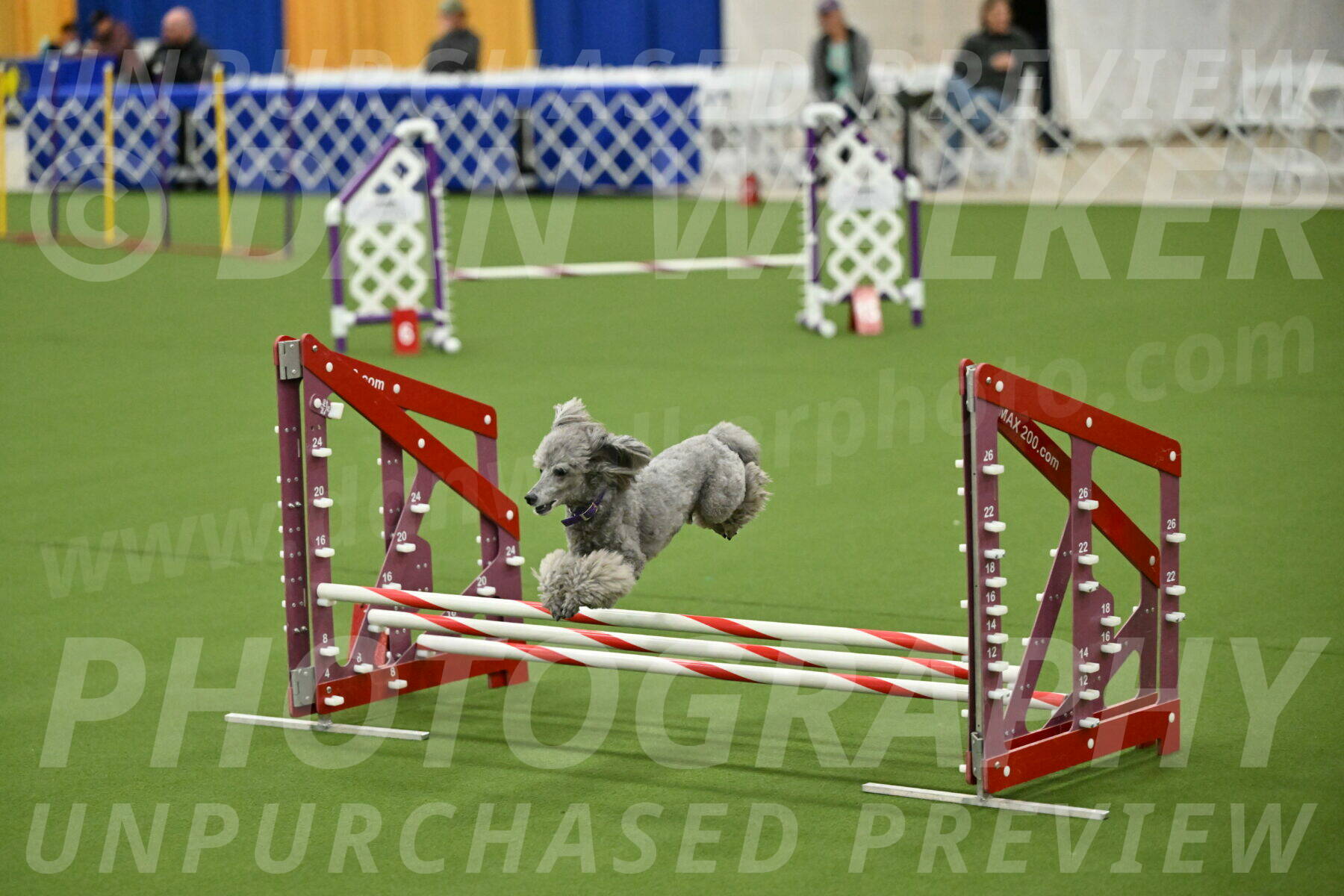 MAS-EX-JWW-12-Inch_1106