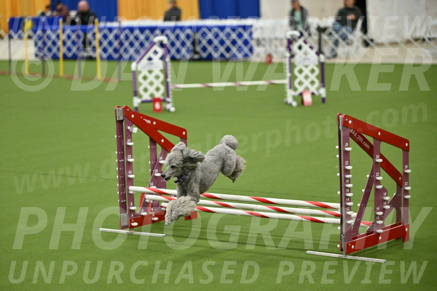 MAS-EX-JWW-12-Inch_1107