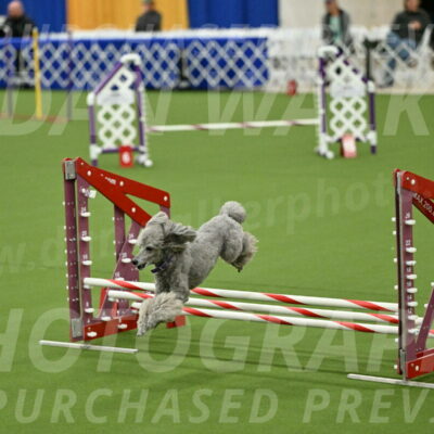 MAS-EX-JWW-12-Inch_1107