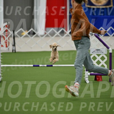 MAS-EX-JWW-12-Inch_1110