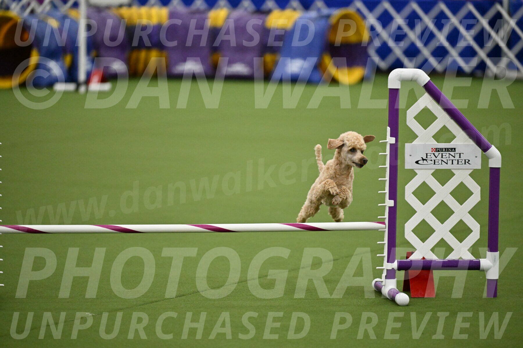 MAS-EX-JWW-12-Inch_1115