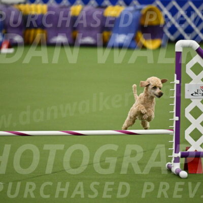 MAS-EX-JWW-12-Inch_1115