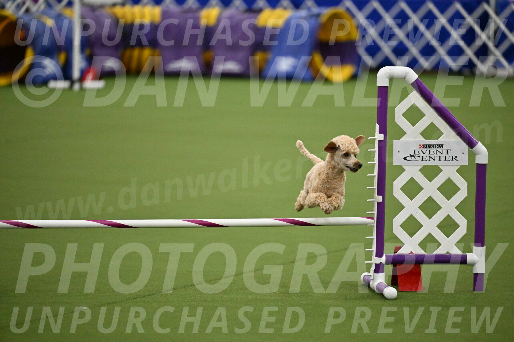 MAS-EX-JWW-12-Inch_1116