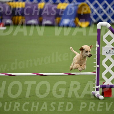 MAS-EX-JWW-12-Inch_1116