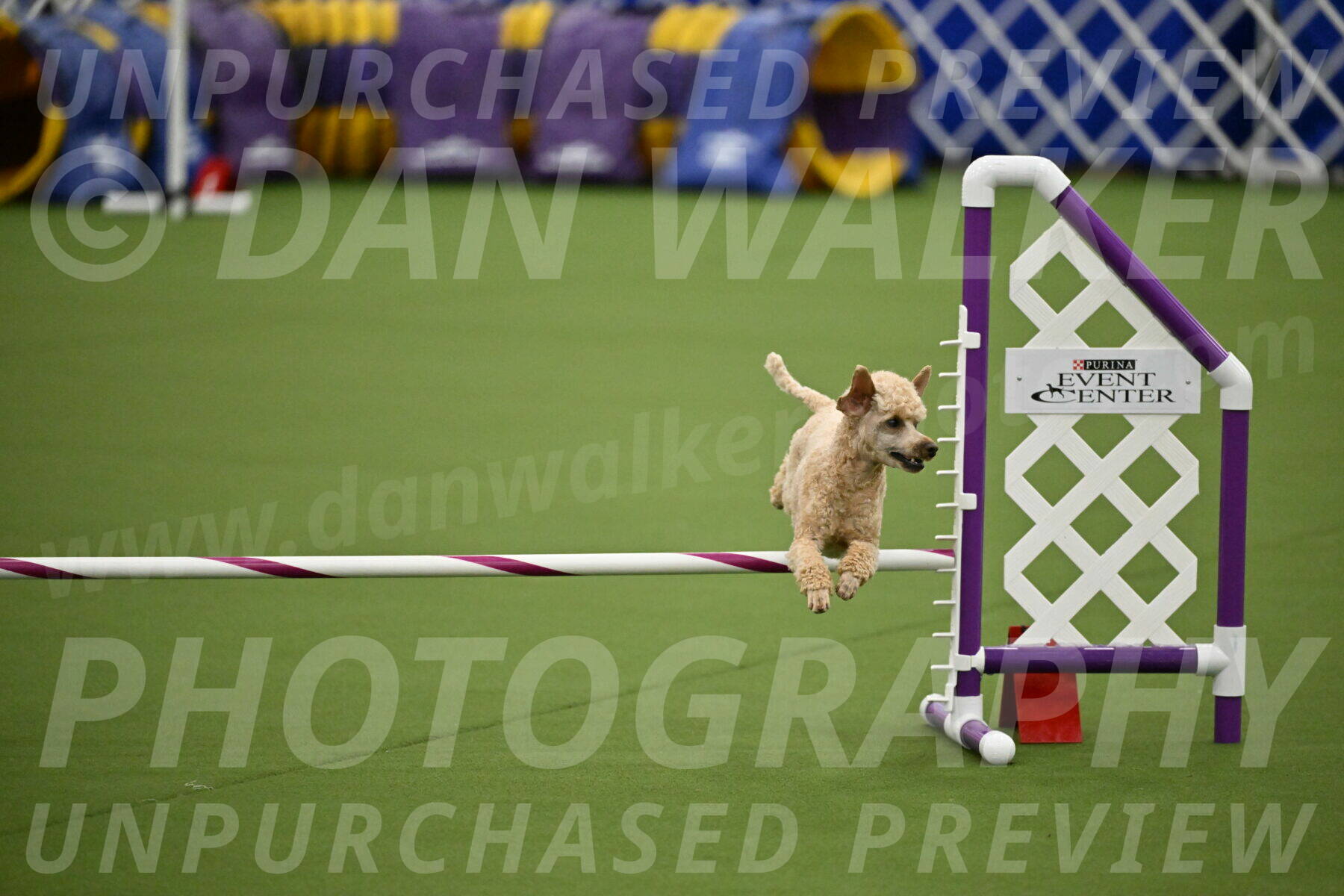 MAS-EX-JWW-12-Inch_1117