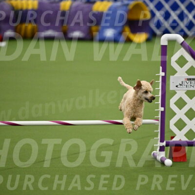 MAS-EX-JWW-12-Inch_1117