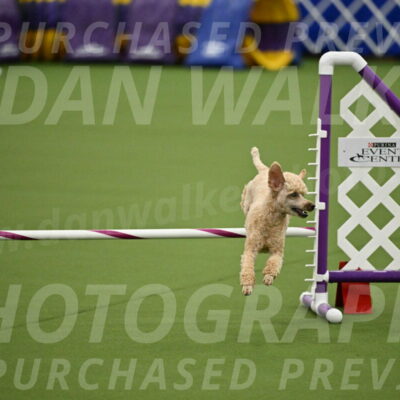 MAS-EX-JWW-12-Inch_1118