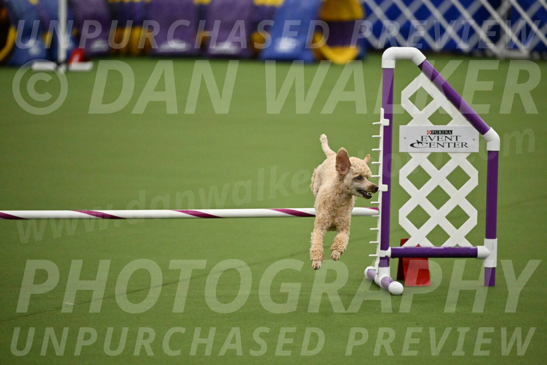 MAS-EX-JWW-12-Inch_1118