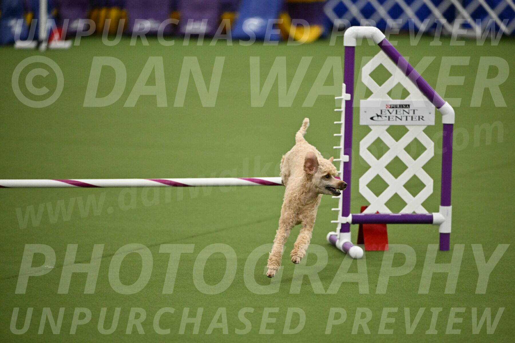 MAS-EX-JWW-12-Inch_1119