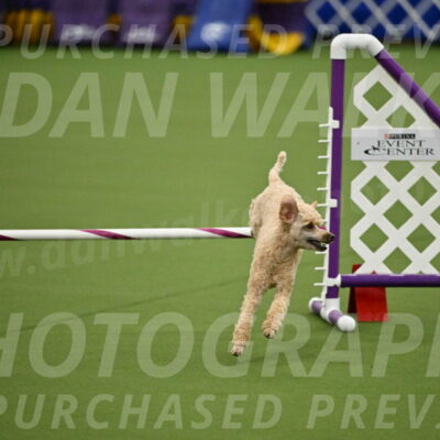 MAS-EX-JWW-12-Inch_1119