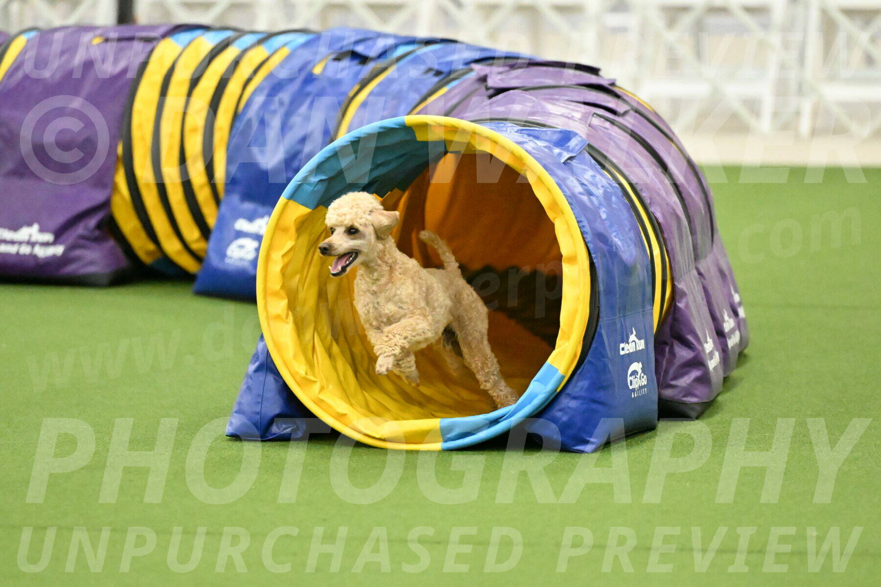 MAS-EX-JWW-12-Inch_1121