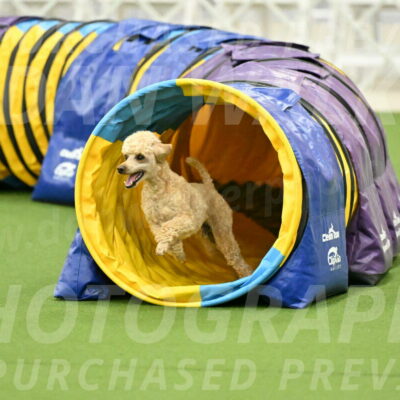 MAS-EX-JWW-12-Inch_1121