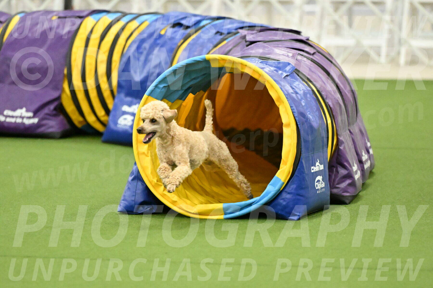 MAS-EX-JWW-12-Inch_1122