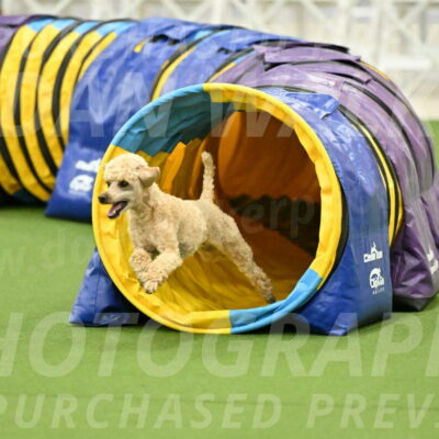 MAS-EX-JWW-12-Inch_1122