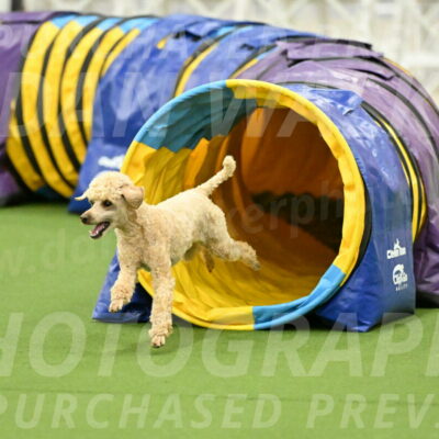 MAS-EX-JWW-12-Inch_1123