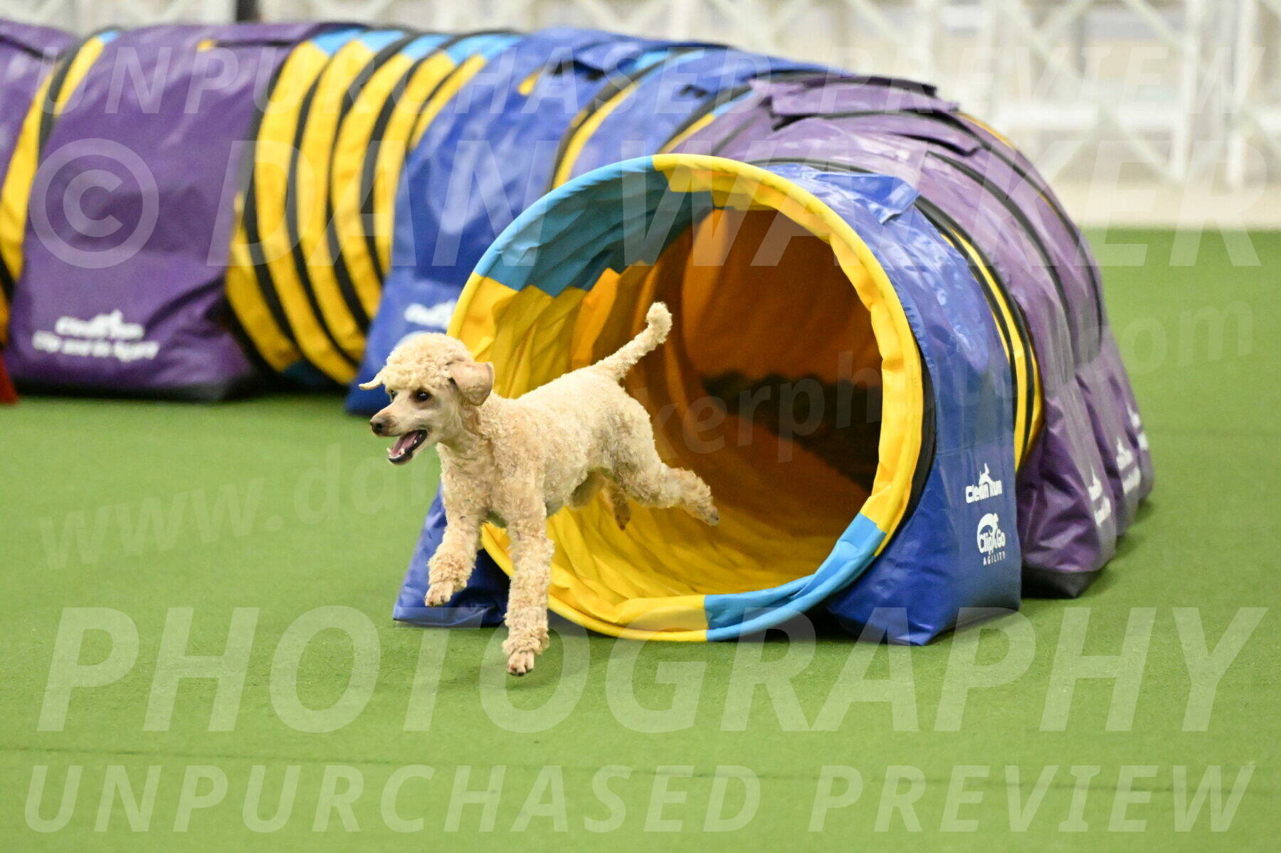 MAS-EX-JWW-12-Inch_1123