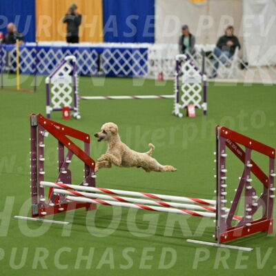 MAS-EX-JWW-12-Inch_1128