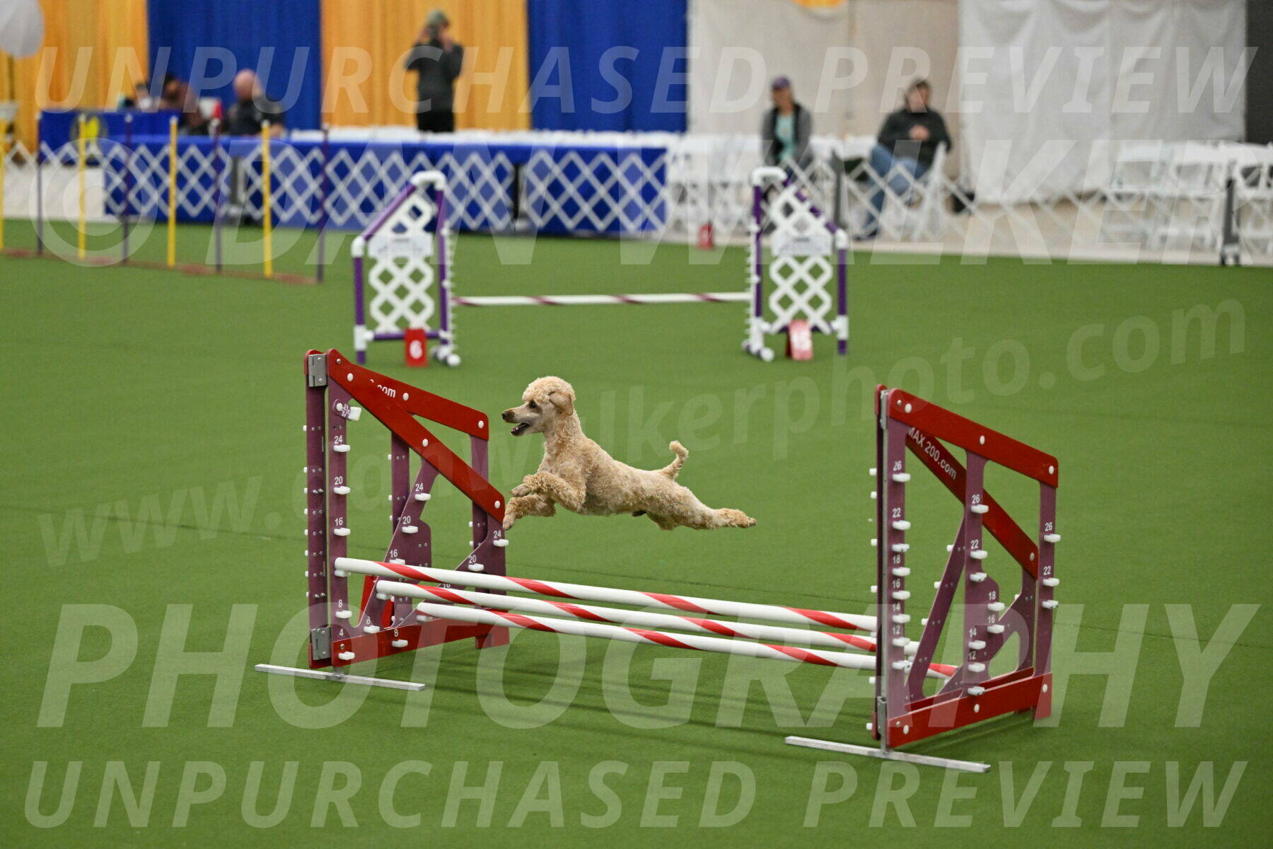 MAS-EX-JWW-12-Inch_1128