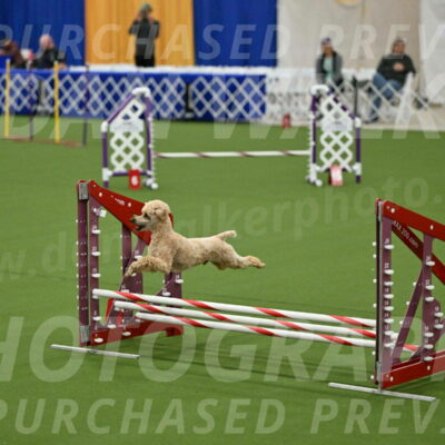 MAS-EX-JWW-12-Inch_1129