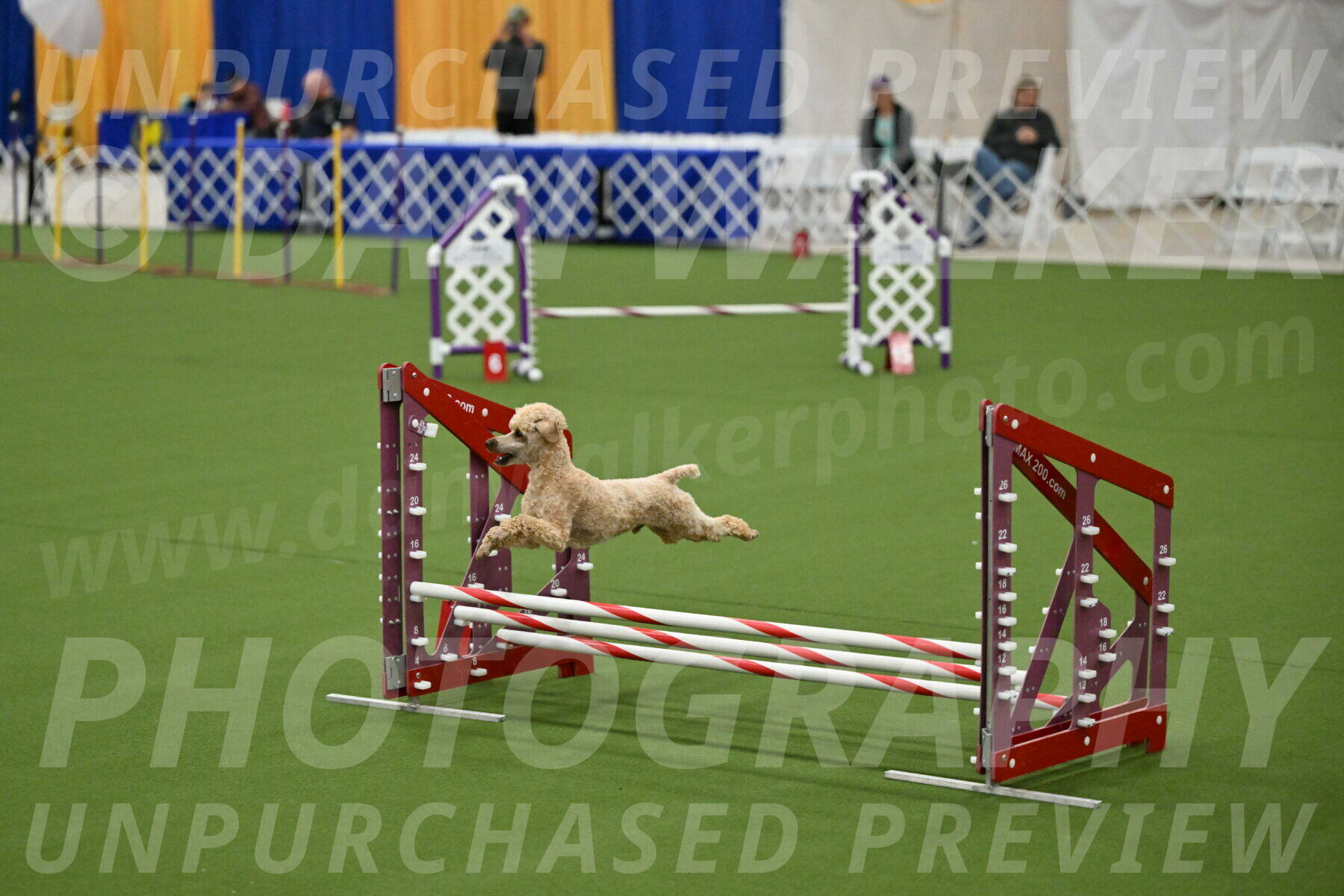 MAS-EX-JWW-12-Inch_1129