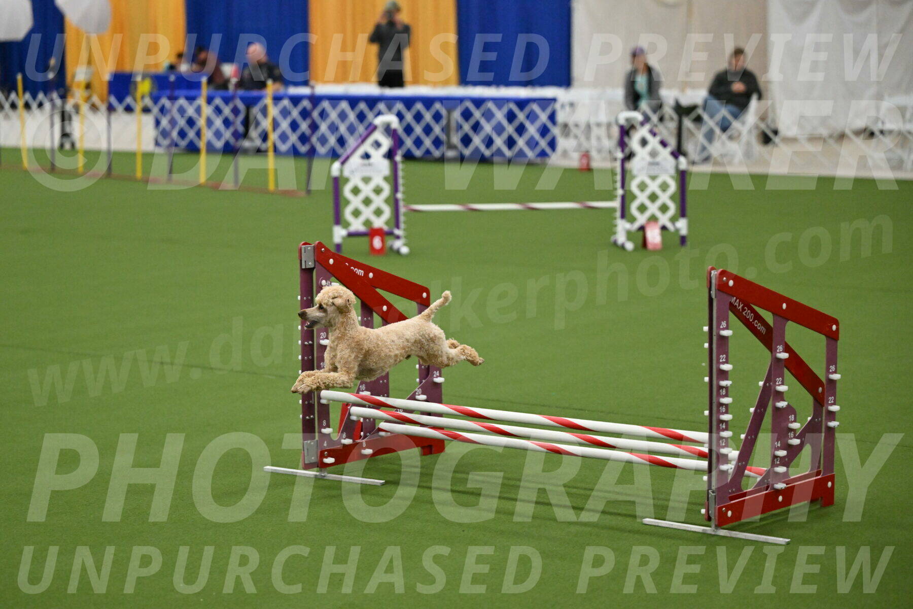 MAS-EX-JWW-12-Inch_1130