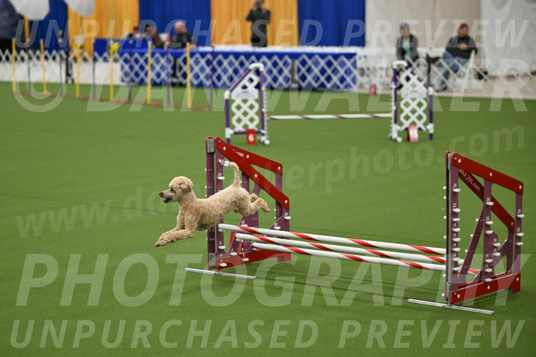 MAS-EX-JWW-12-Inch_1131