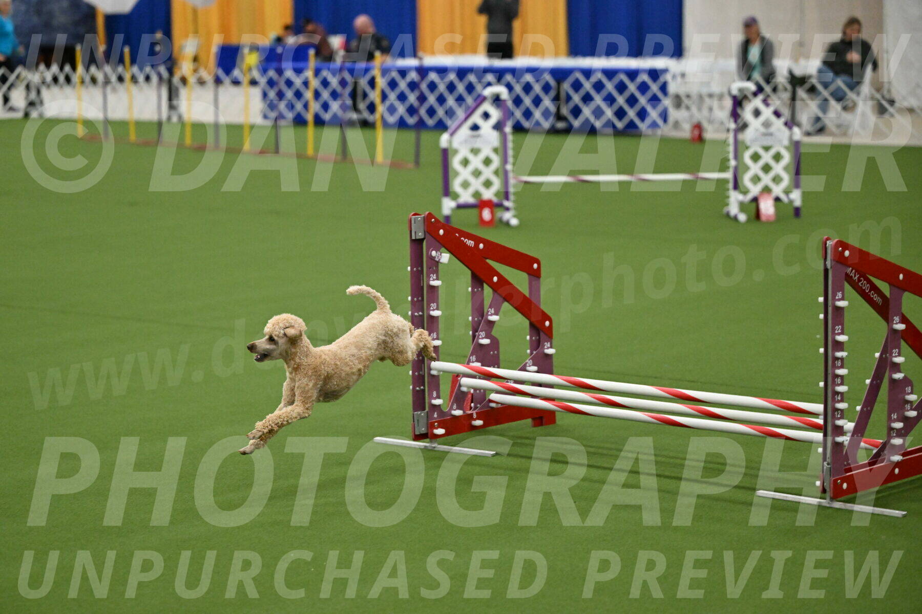 MAS-EX-JWW-12-Inch_1132