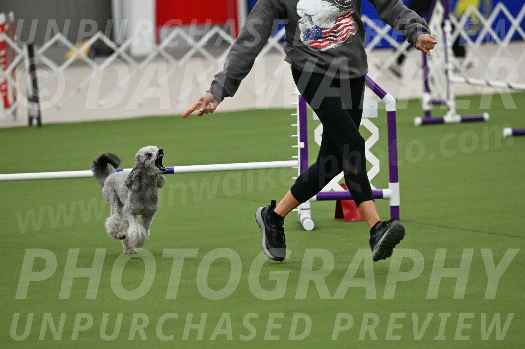 MAS-EX-JWW-12-Inch_1152