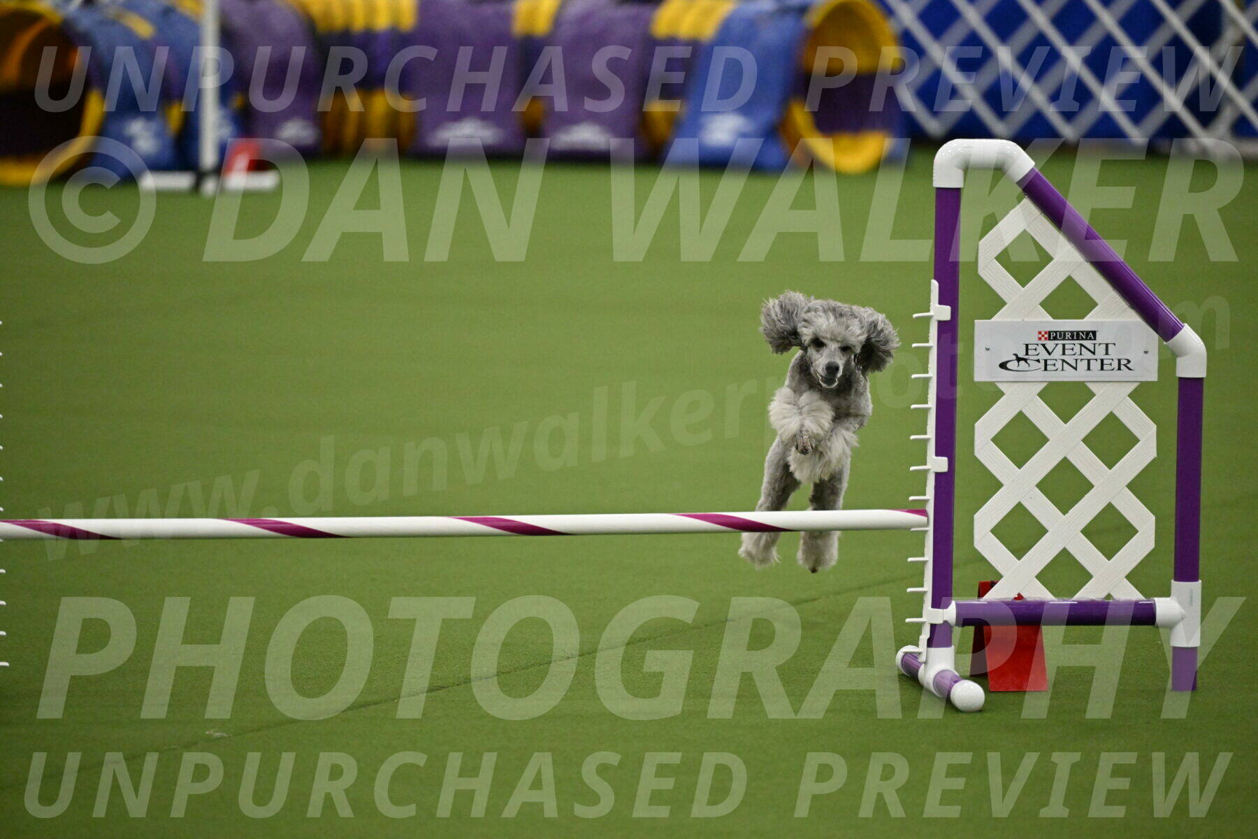 MAS-EX-JWW-12-Inch_1178